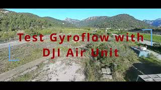 Fpv  Test Gyroflow  Apex 6quot [upl. by Pilloff]