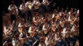 Índia  Orquestra Paulistana de Viola Caipirawmv [upl. by Eirdua805]