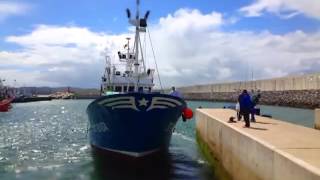 70000kg de Bocarte en el puerto pesquero de Laredo 28052013 480p [upl. by Pirzada]