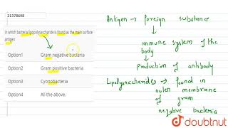 In which bacteria lipopolysaccharide is found as the main surface antigen [upl. by Yrellav]