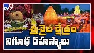 Srisailam Temple unknown facts  TV9 Exclusive coverage [upl. by Romeyn36]