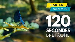 Riantec Morbihan  120 secondes  Drone 4K [upl. by Peterson]