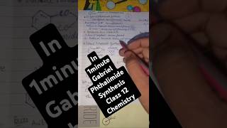 🔥Gabriel phthalimide synthesis amines class 12 chemistry class 12th chemistry GPS Method [upl. by Danni]