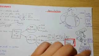 Ateroesclerosis ESQUEMA cardiología [upl. by Arianna660]