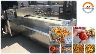 Automatic apricot pitting machine auto plum peach stone fruit pitter [upl. by Annavoj674]