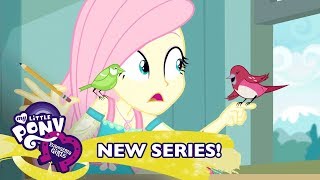 My Little Pony Equestria Girls Sezon 1 Polska  Ptasie Opowieści 🐦 Ekskluzywny Krótki [upl. by Acessej]