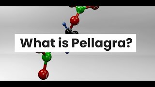 WHAT IS PELLAGRA [upl. by Grounds559]