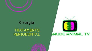 quotTratamento Periodontal em Cães Passo a Passo para Manter a Saúde Bucal do Seu Petquot [upl. by Komara]