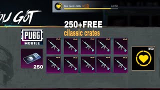 250 Glacier On Wish Classic crates upon opening [upl. by Piscatelli]