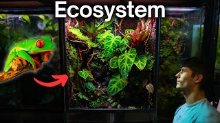 I Made a Jungle Terrarium For a Tiny Frog Here’s How [upl. by Ahsenyt]