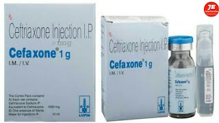 ceftriaxone injection  cefaxone 1g uses  ceftriaxone injection for gonorrhea [upl. by Rialb]