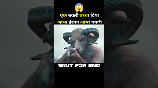 Lamb 2021  Lamb Movie Explained In Hindi shorts youtubeshorts [upl. by Chevalier]