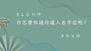 名字即佛 ★你怎麼知道你進入名字位呢 淨界法師 六即佛 圓教修行階位 [upl. by Emanuela]