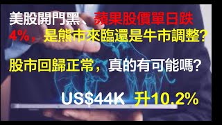 美國股市開門黑，是熊市來臨嗎？｜蘋果公司股價單日跌4有何原因｜股市能回歸正常嗎？｜小資族美股投資組合 EP25 [upl. by Lilith]