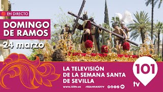 🔴 EN DIRECTO  Domingo de Ramos  Primera Parte  Semana Santa Sevilla  24 marzo 2024 [upl. by Verina]