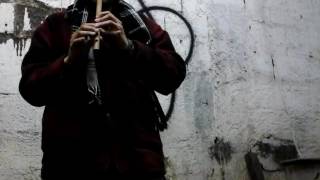 Tema Faun  Federkleid tin whistle em C [upl. by Ellenehc223]