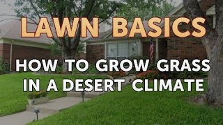 How to Grow Grass in a Desert Climate [upl. by Einnaffit]