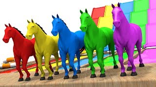 Learn Colors with Horse  Colors Learning Videos for Children  Animation for Kids [upl. by Annawad]