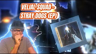 VELIAL SQUAD  STRAY DOGS EP  Реакция и разбор [upl. by Rawdan]