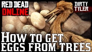 How To Get Eggs From Trees Plus Egret Egg Location for the Collector Role Red Dead Online RDR2 [upl. by Eignav646]