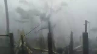 catanduanes Signal no5 nako ingat Po kyo dyan😢 [upl. by Akihdar]