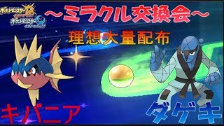 【ポケモンUSUM】20：30～理想ダゲキamp加速キバニア大量ミラクル交換会 [upl. by Allyn]