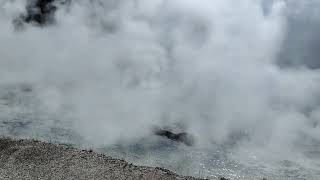 Excelsior Geyser Carter Midway Basin Yellowstone National Park USA [upl. by Reider787]