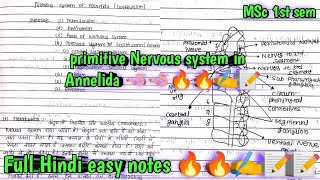 nervous system in Annelida  Earthworm 🪱🪱🪱msc 1st sem invertebrate hindi easy notes 🔥🔥🔥📝📝📝✍️✍️ [upl. by Zelma862]