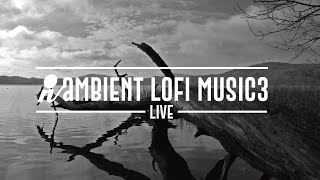 AMBIENT lofi LIVE🎶作業用BGM 🎶レコードをかけるように・・・作業に集中したい時♪勉強に集中したい時♪リラックスしたい時♪のんびりしたい時に・・・ [upl. by Kerianne800]