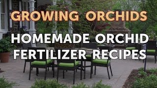 Homemade Orchid Fertilizer Recipes [upl. by Balf174]