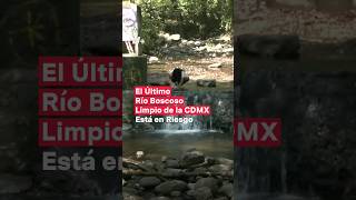 El Río Boscoso del parque La Cañada en riesgo por asentamientos irregulares nmas shorts [upl. by Baalbeer]