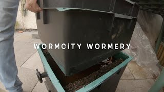 Wormcity Wormery  With 2 Month Update [upl. by Hoo]