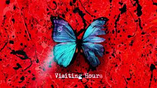 Ed Sheeran  Visiting Hours Official Lyric Video [upl. by Bloomer]