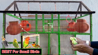 How to Make Love Birds Cage at Home Simple  Birds Palace [upl. by Aara]