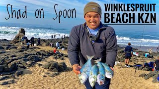 Catching Shad on Spoon at Winklespruit Beach  Fishing in Durban KZN [upl. by Eveam614]