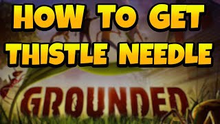 How to Get Thistle Needle in Grounded Fast [upl. by Suiddaht399]