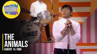 The Animals quotDont Bring Me Downquot on The Ed Sullivan Show [upl. by Vasili664]