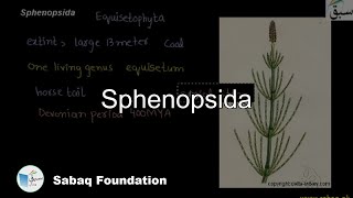 Sphenosida Biology Lecture  Sabaqpk [upl. by Akilaz]