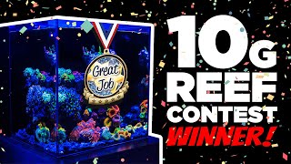 Amazing 10 Gallon Nano Reef Tank Winner 4K [upl. by Omlesna141]