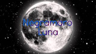 Negramaro  Luna [upl. by Gearard]