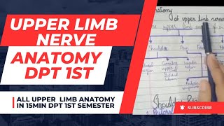 Upper limb nerve anatomy by medical 20 [upl. by Ainitsirc]