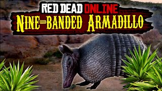 RDR2 Ninebanded Armadillo Best Locations and tips in Red Dead 2 Red Dead Online [upl. by Seena]