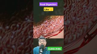 Process of food digestion in our body medical doctor hindi animation [upl. by Nej688]