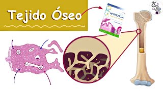 Tejido Óseo Hueso  Histología Ross  Medicina [upl. by Ab540]