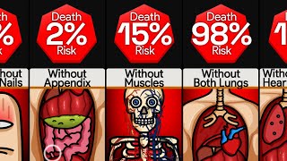 Comparison Death Risks Without  Organ [upl. by Eda499]