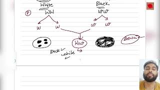 Incomplete DominanceCo DominanceMultiple Allele [upl. by Plafker]
