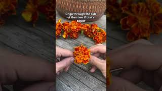 Preserve Marigolds by Making Garland flowers preservedflower garden [upl. by Ayihsa286]