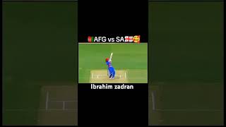 Ibrahim zadran batting 🇦🇫🥰👑 [upl. by Ambrosane]