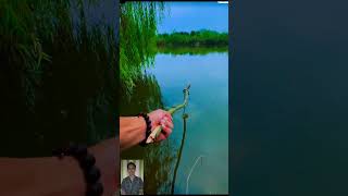 Ever seen a fishing strategy like fish [upl. by Haines]