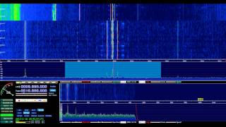 WWVH Time signal 10000Khz 18112013 [upl. by Ritter]